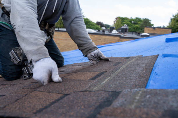 Roof Repair Estimates in Fredericktown, MO